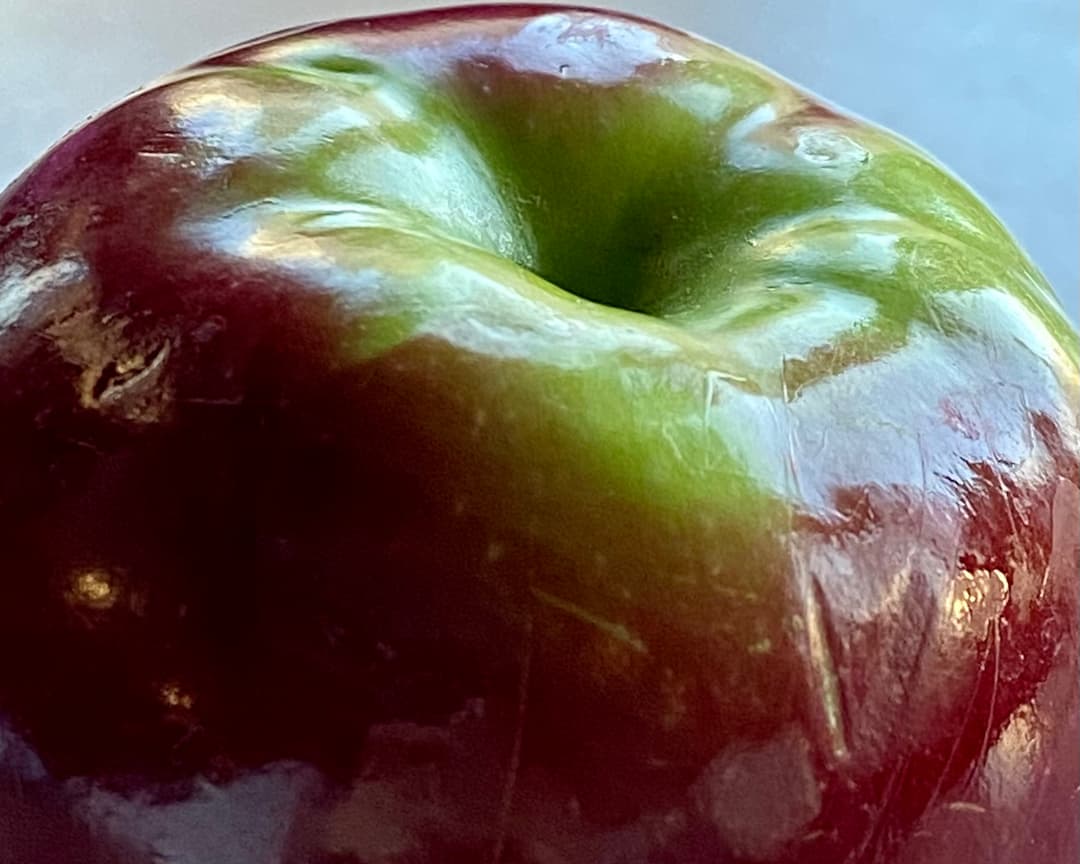 Image of food