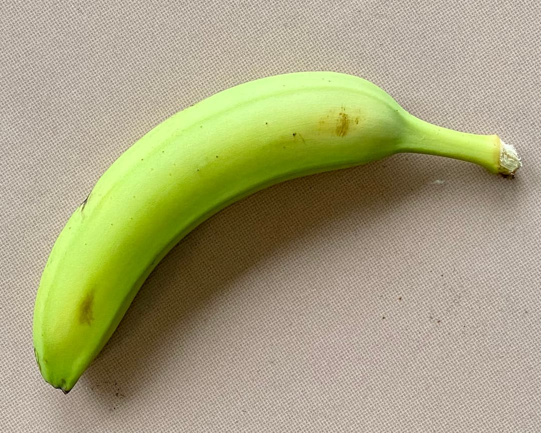 Image of food